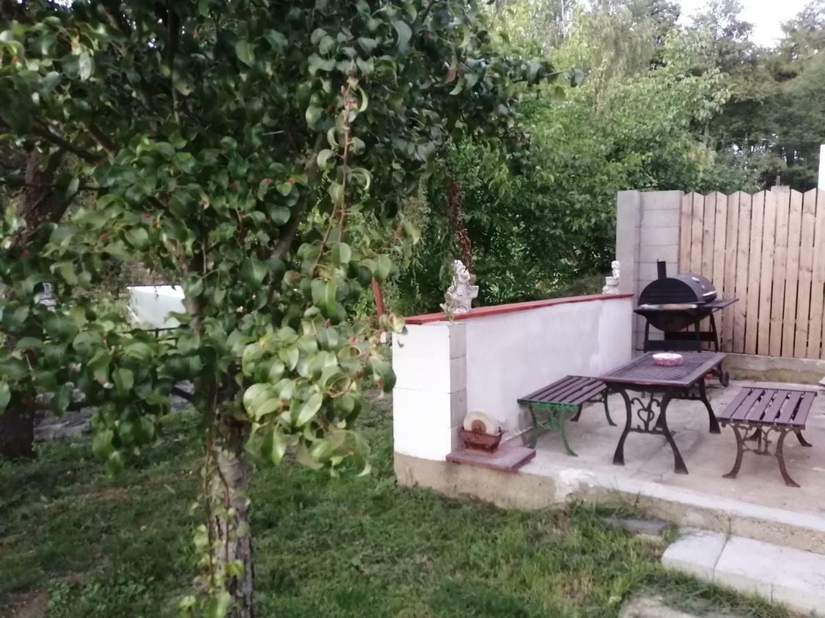 Na Cervene Louce Relax 1 Villa Cheb Dış mekan fotoğraf